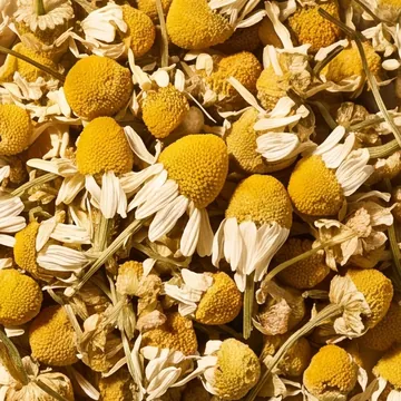 Camomille bio - sachet 25g