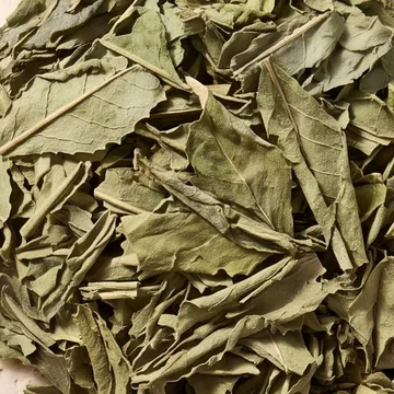 Mélisse bio - sachet 25g