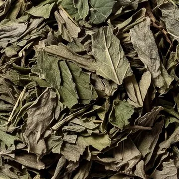 Menthe bio - sachet 25g