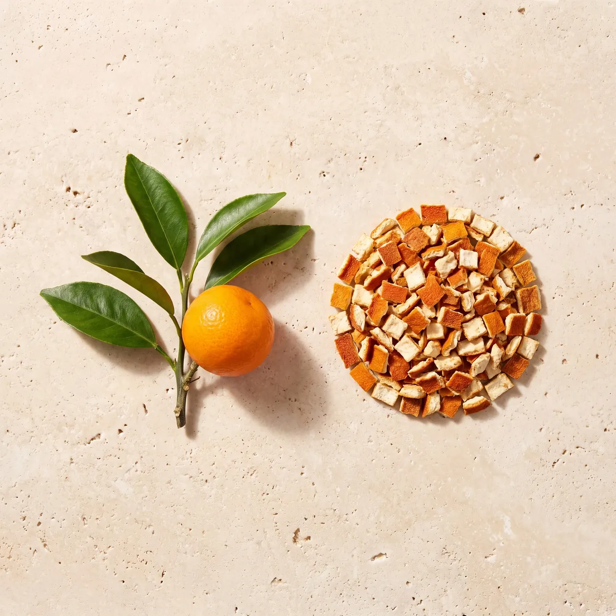 Écorce d'orange douce : le brin frais et la plante séchée