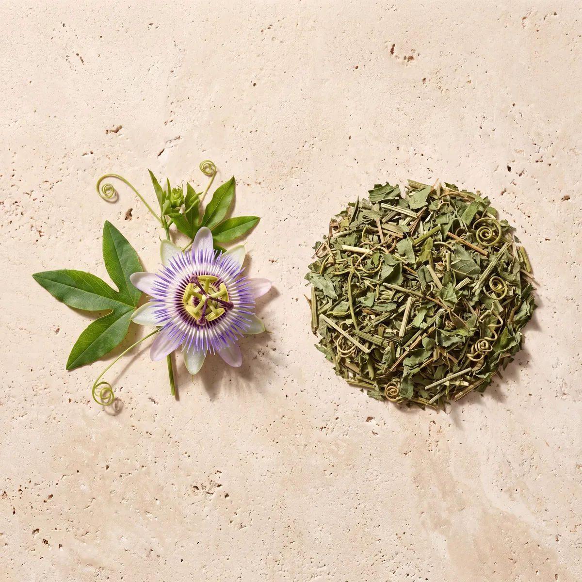 Passiflore : le brin frais et la plante séchée